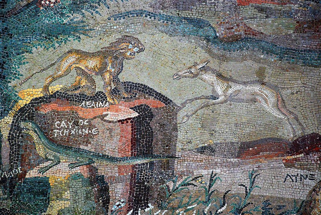 Mosaico del Nilo a Palestrina - Visite guidate Roma Fuit