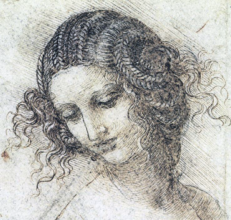testa di Leda